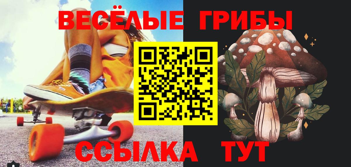 Псилоцибиновые грибы Cubensis Сыктывкар