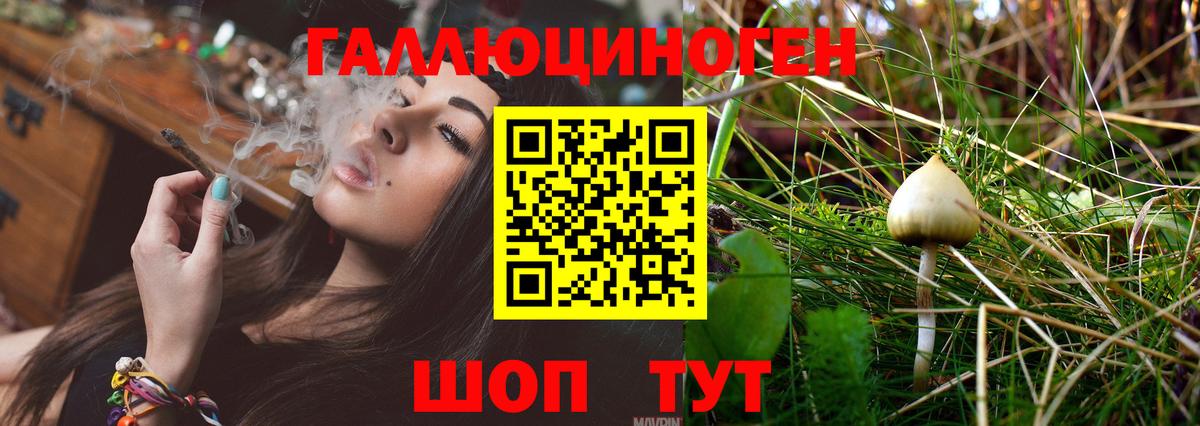 наркошоп  Вход с VPN  Сыктывкар  Галлюциногенные грибы Cubensis 